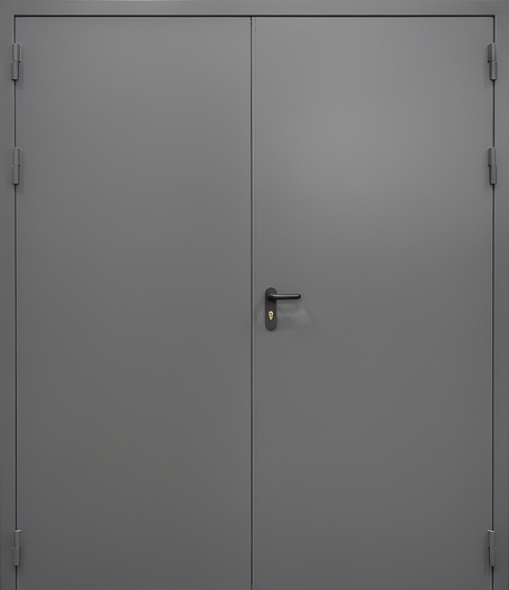 Противопожарная равностворчатая дверь серого цвета